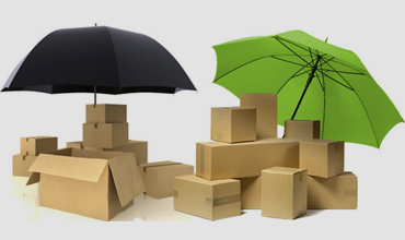 Insurance Services